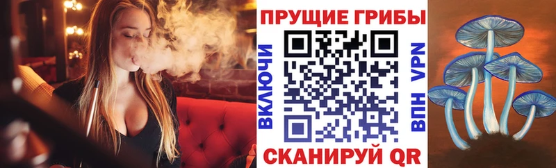 маркетплейс какой сайт  Закаменск  Псилоцибиновые грибы ЛСД 