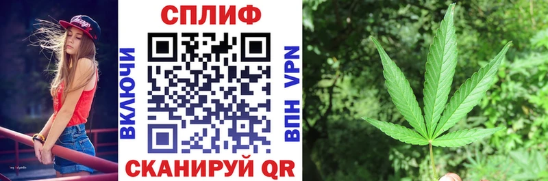 что такое мориарти официальный сайт Конопля планчик Закаменск omg зеркало